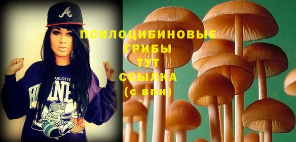стафф Сафоново