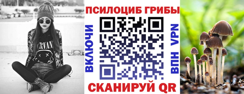Псилоцибиновые грибы ЛСД магазин Пласт